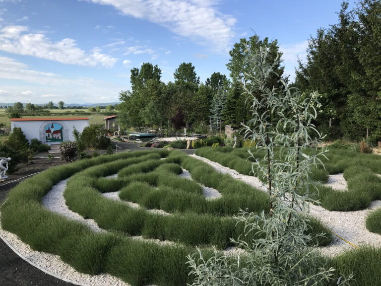 fedezd fel a botanoland világát
